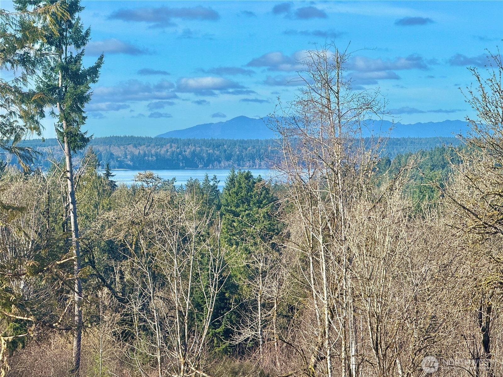 4319 183rd Avenue Ct SW, Longbranch, WA 98351