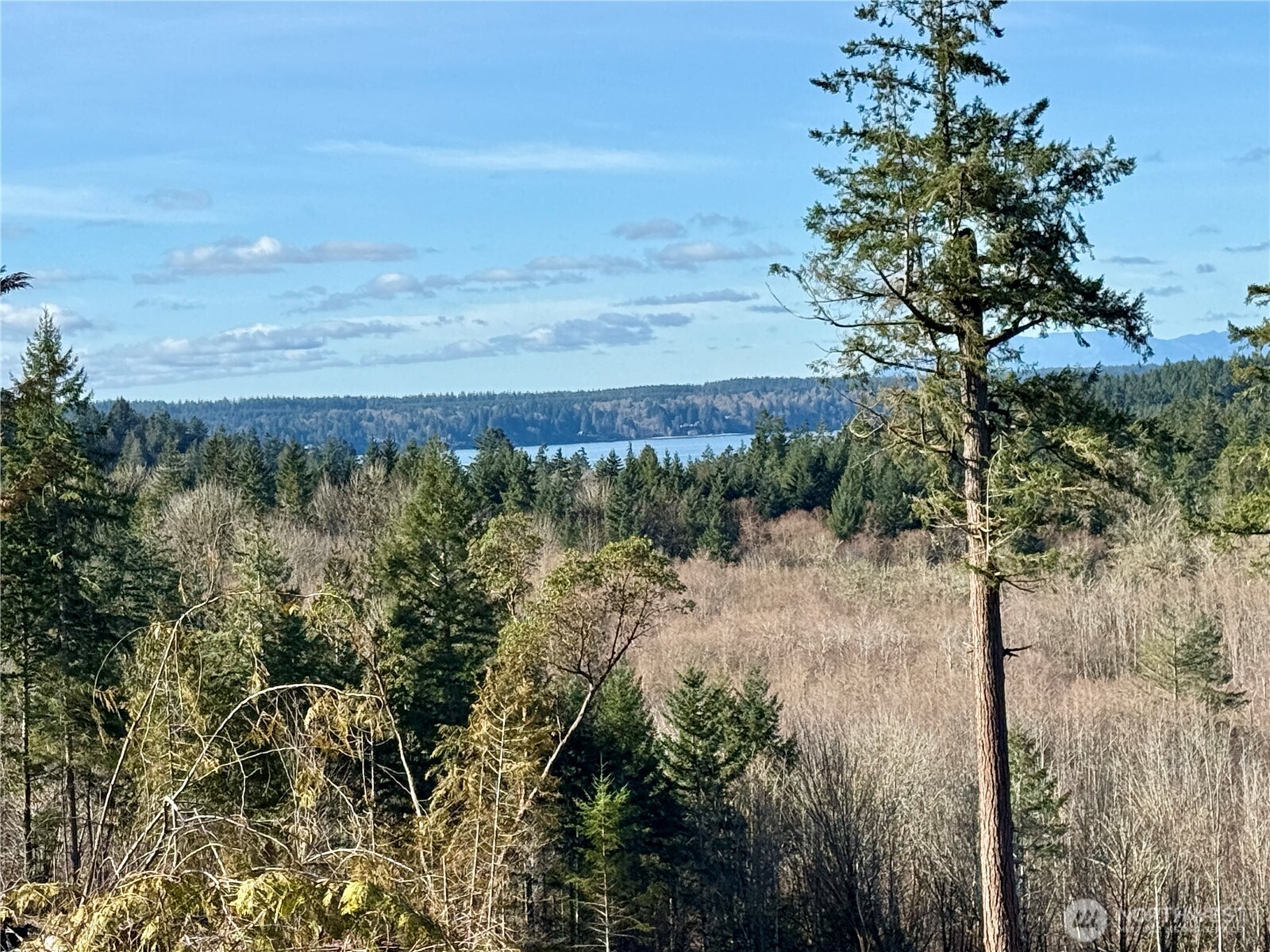 4223 183rd Avenue Ct SW, Longbranch, WA 98351