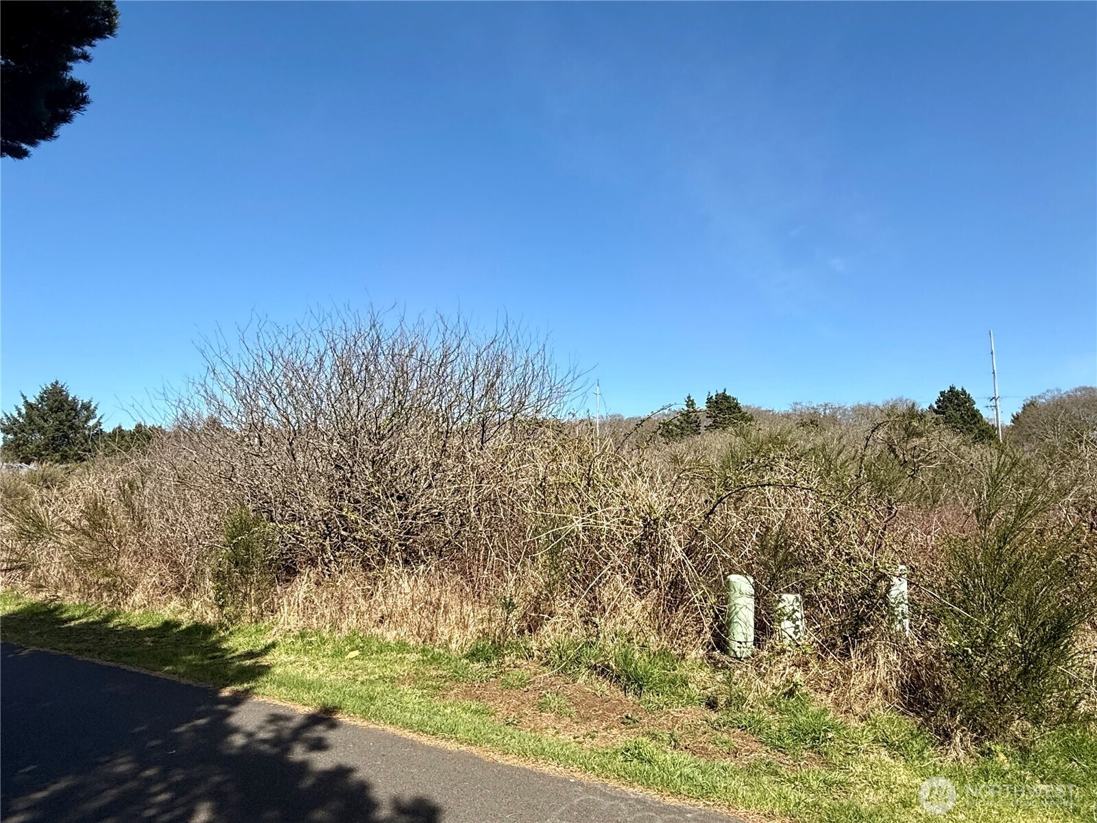 2 XXX Francis Seamore Lane , Grayland, WA 98547