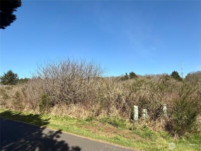 2 XXX Francis Seamore Lane , Grayland, WA 98547