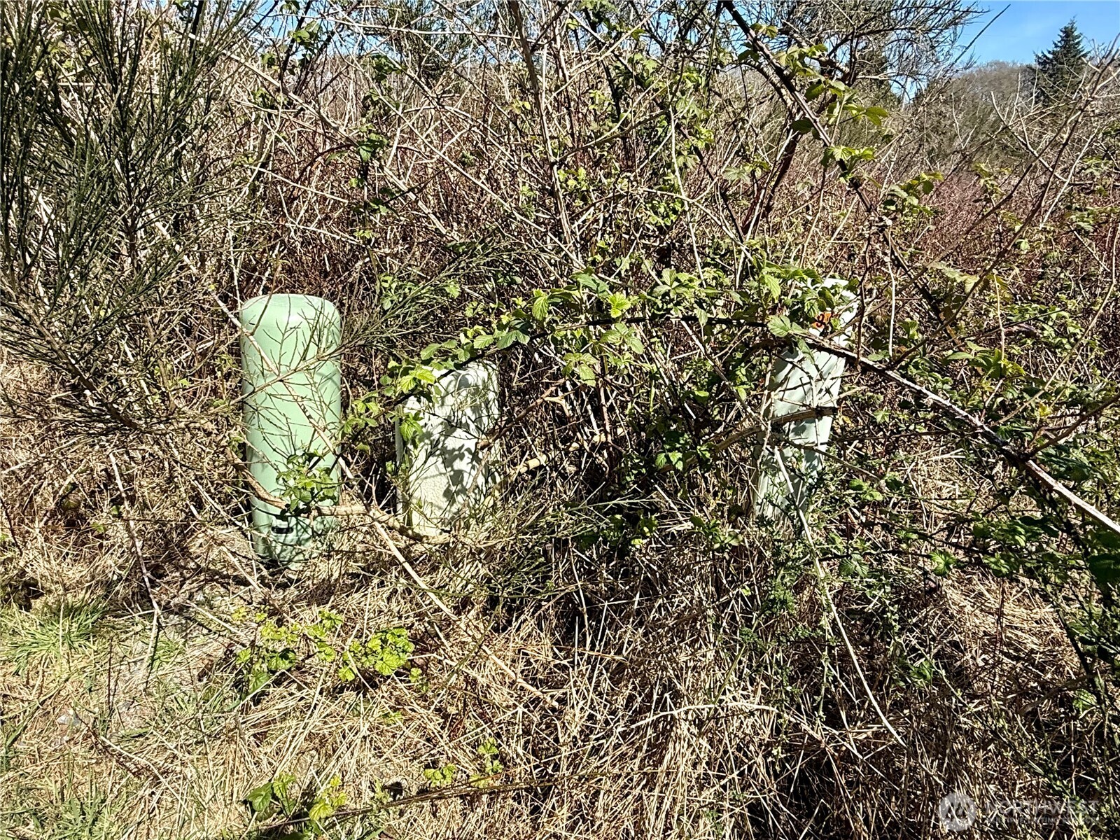 2 XXX Francis Seamore Lane , Grayland, WA 98547