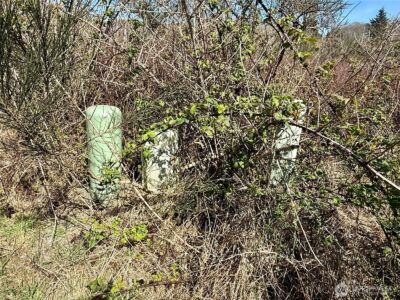 2 XXX Francis Seamore Lane , Grayland, WA 98547 - Photo 6