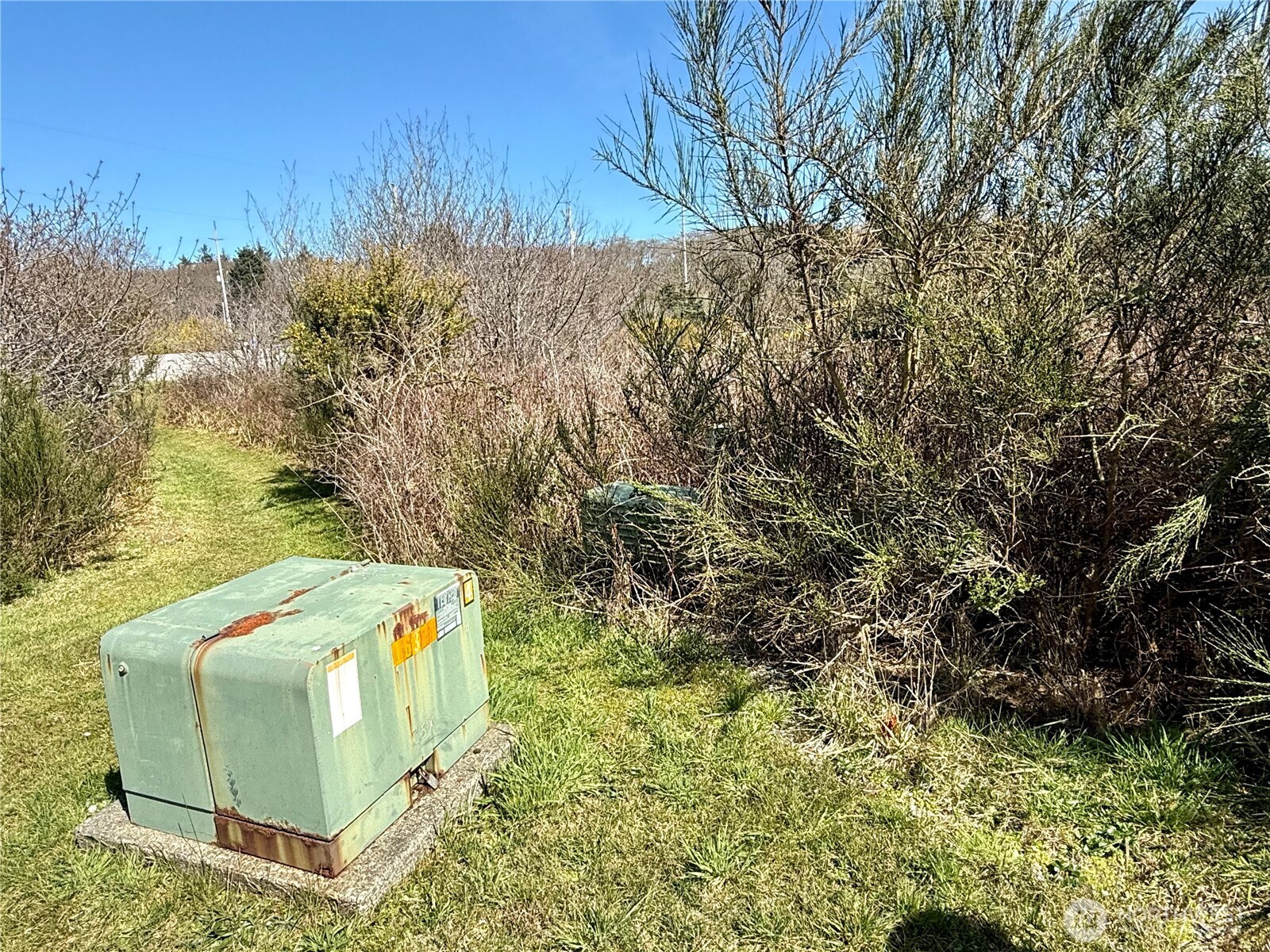 2 XXX Francis Seamore Lane , Grayland, WA 98547