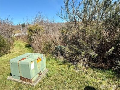 2 XXX Francis Seamore Lane , Grayland, WA 98547 - Photo 7