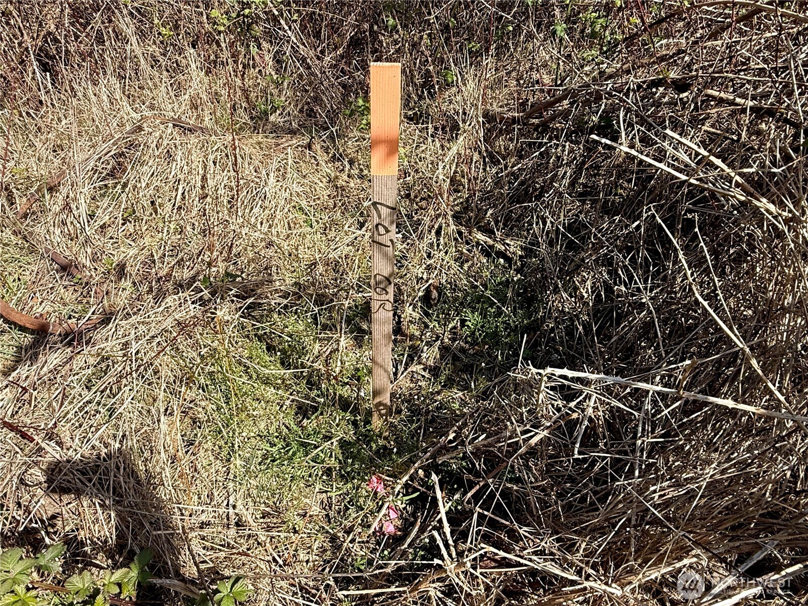 2 XXX Francis Seamore Lane , Grayland, WA 98547