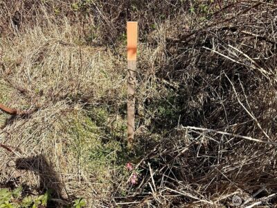 2 XXX Francis Seamore Lane , Grayland, WA 98547 - Photo 8