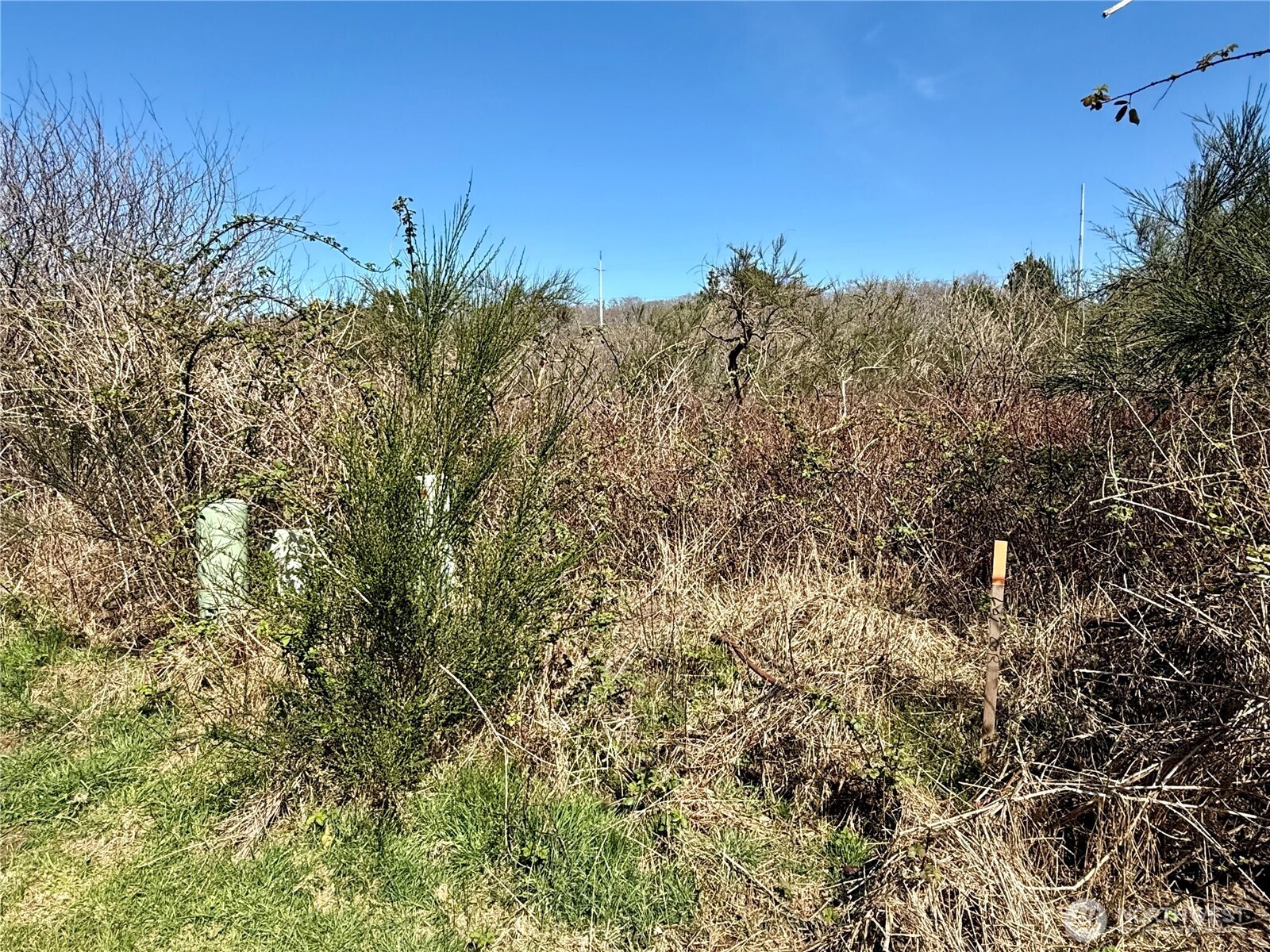 2 XXX Francis Seamore Lane , Grayland, WA 98547