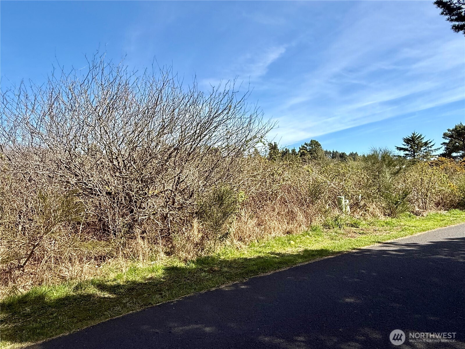 2 XXX Francis Seamore Lane , Grayland, WA 98547