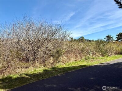 2 XXX Francis Seamore Lane , Grayland, WA 98547 - Photo 10