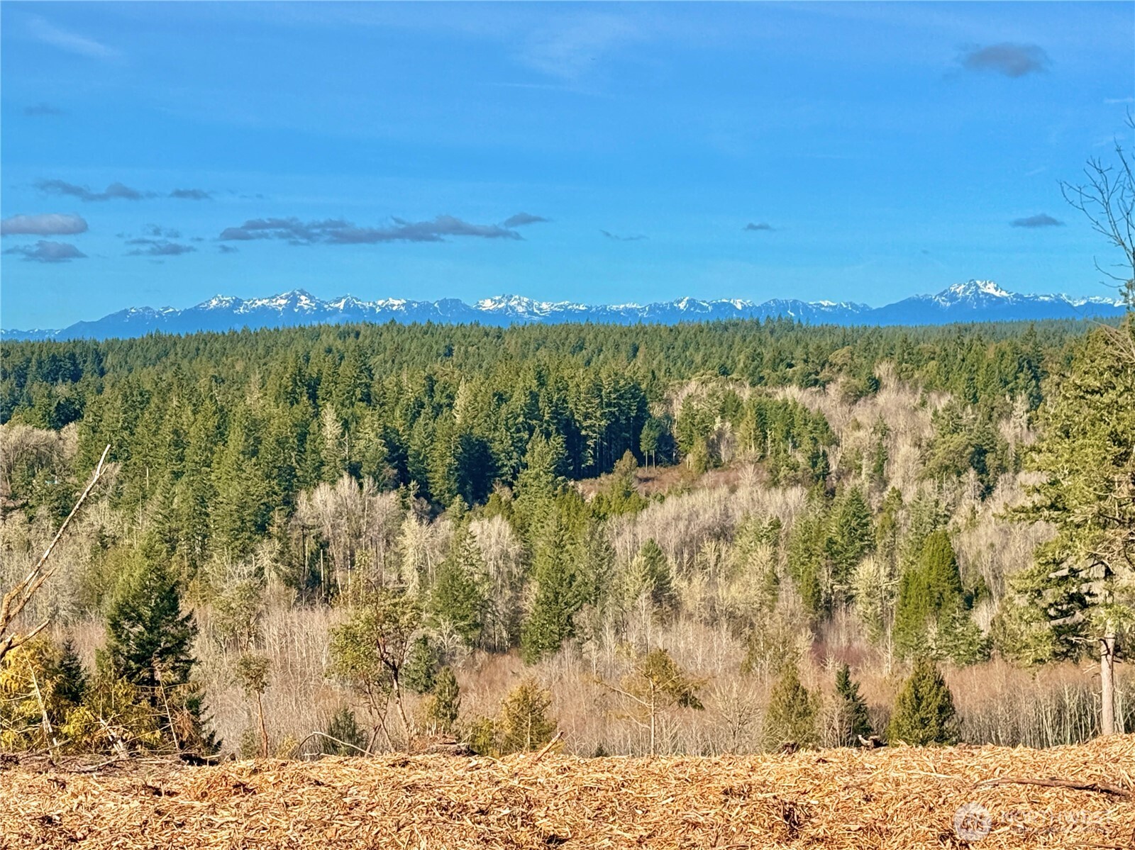 4324 183rd Avenue Ct SW, Longbranch, WA 98351
