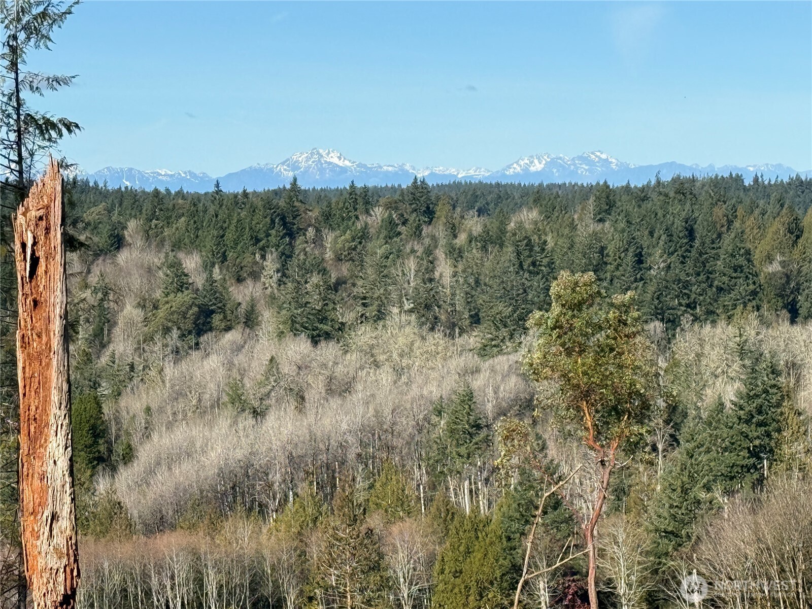 4324 183rd Avenue Ct SW, Longbranch, WA 98351