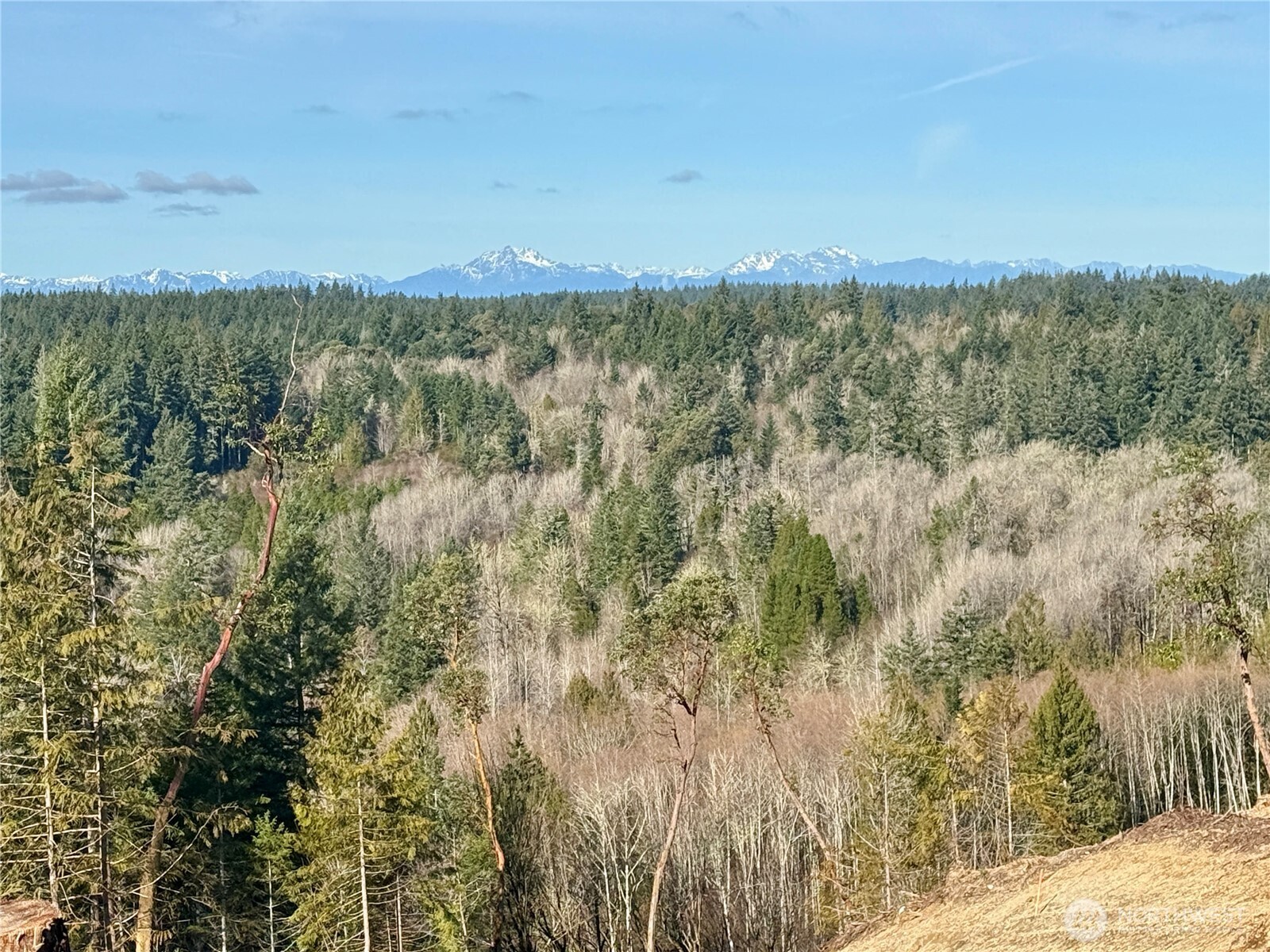 4324 183rd Avenue Ct SW, Longbranch, WA 98351