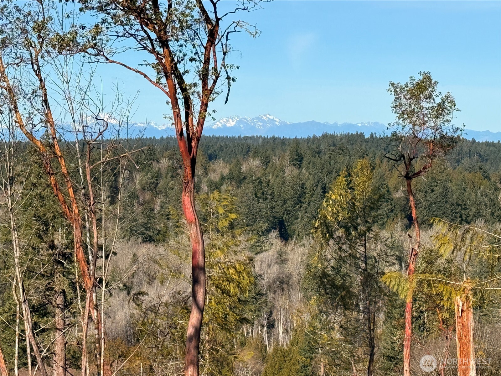 4324 183rd Avenue Ct SW, Longbranch, WA 98351