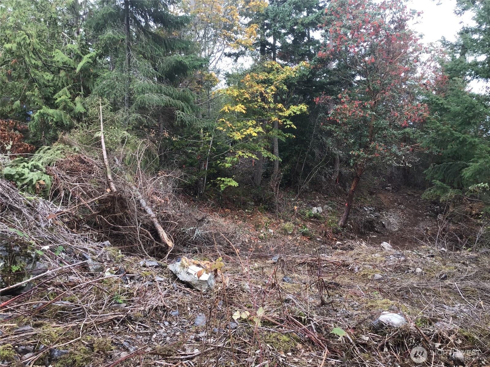 11939 New Morning Drive , Anacortes, WA 98221