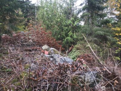 11939 New Morning Drive , Anacortes, WA 98221 - Photo 11