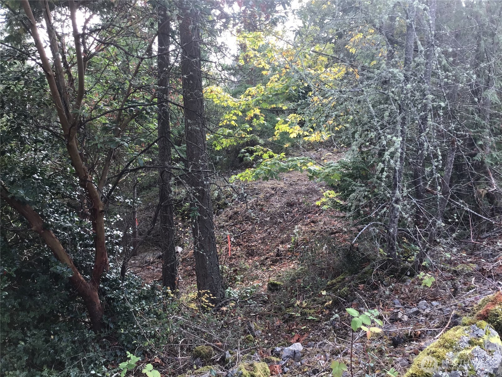 11939 New Morning Drive , Anacortes, WA 98221