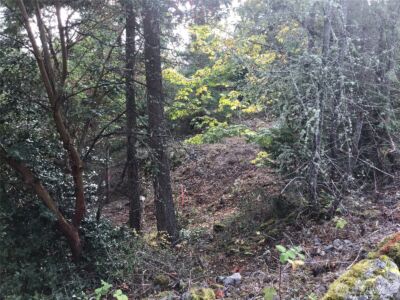 11939 New Morning Drive , Anacortes, WA 98221 - Photo 18