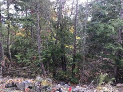 11939 New Morning Drive , Anacortes, WA 98221 - Photo 21