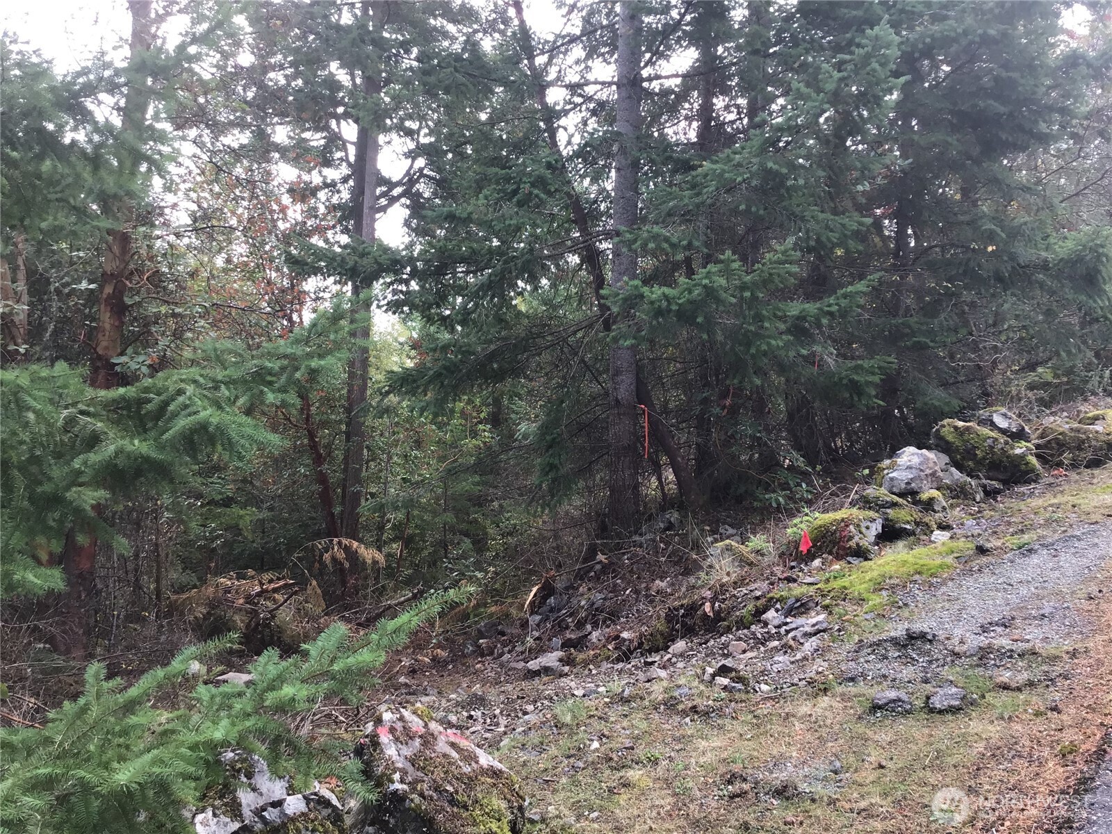 11939 New Morning Drive , Anacortes, WA 98221