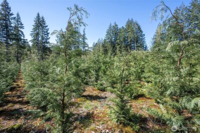 101 Andrejs Road , Shelton, WA 98584 - Photo 2