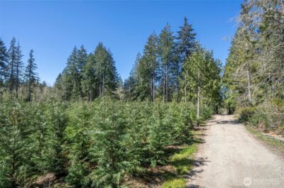 101 Andrejs Road , Shelton, WA 98584 - Photo 3
