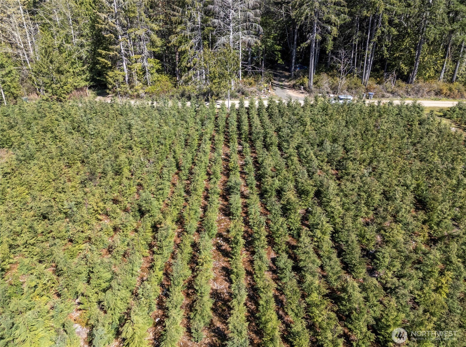101 Andrejs Road , Shelton, WA 98584