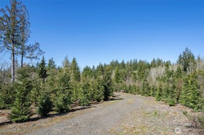 1800 E Harstine Island Road N, Shelton, WA 98584 - Photo 11