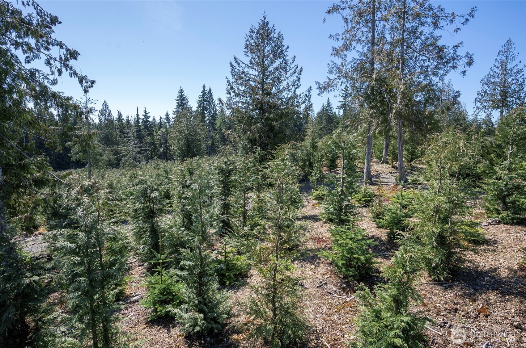 1800 E Harstine Island Road N, Shelton, WA 98584