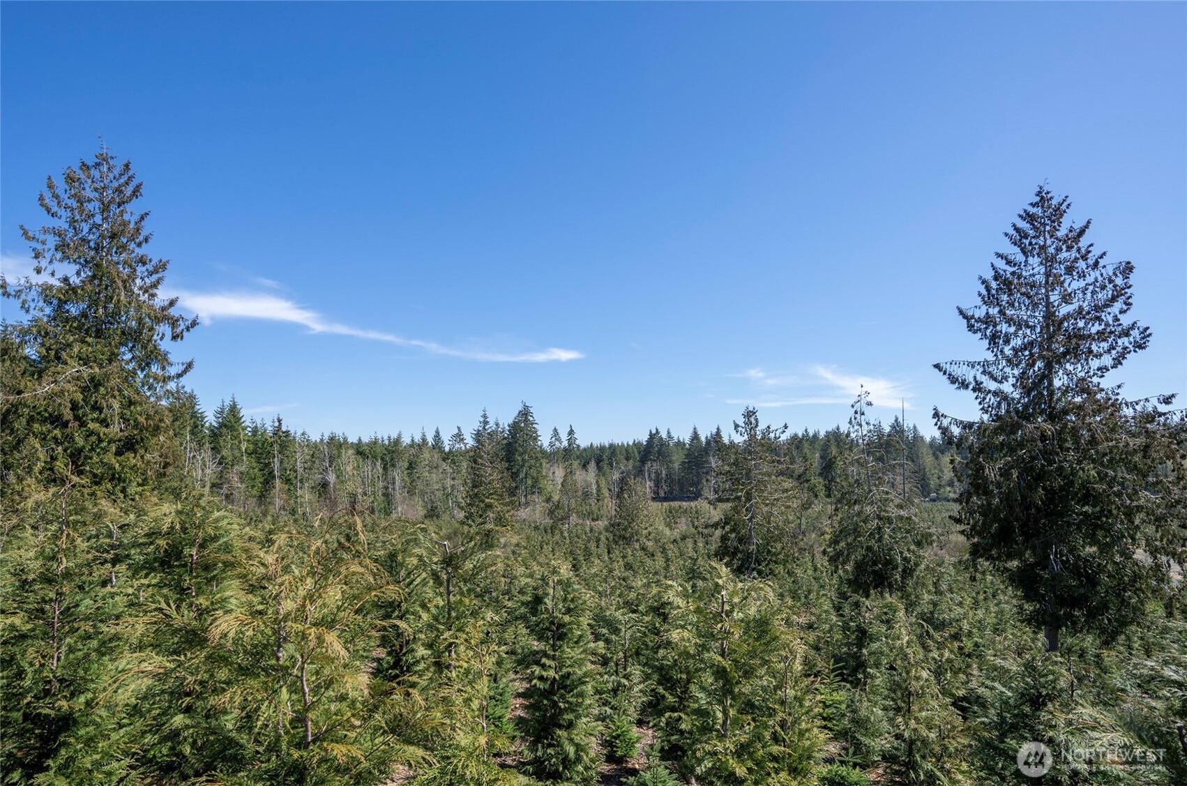 1800 E Harstine Island Road N, Shelton, WA 98584