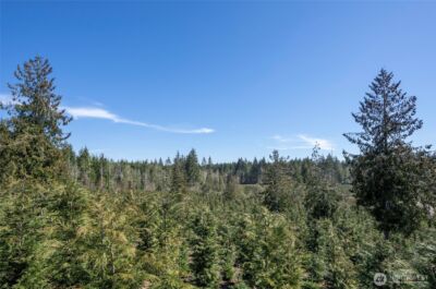 1800 E Harstine Island Road N, Shelton, WA 98584 - Photo 13