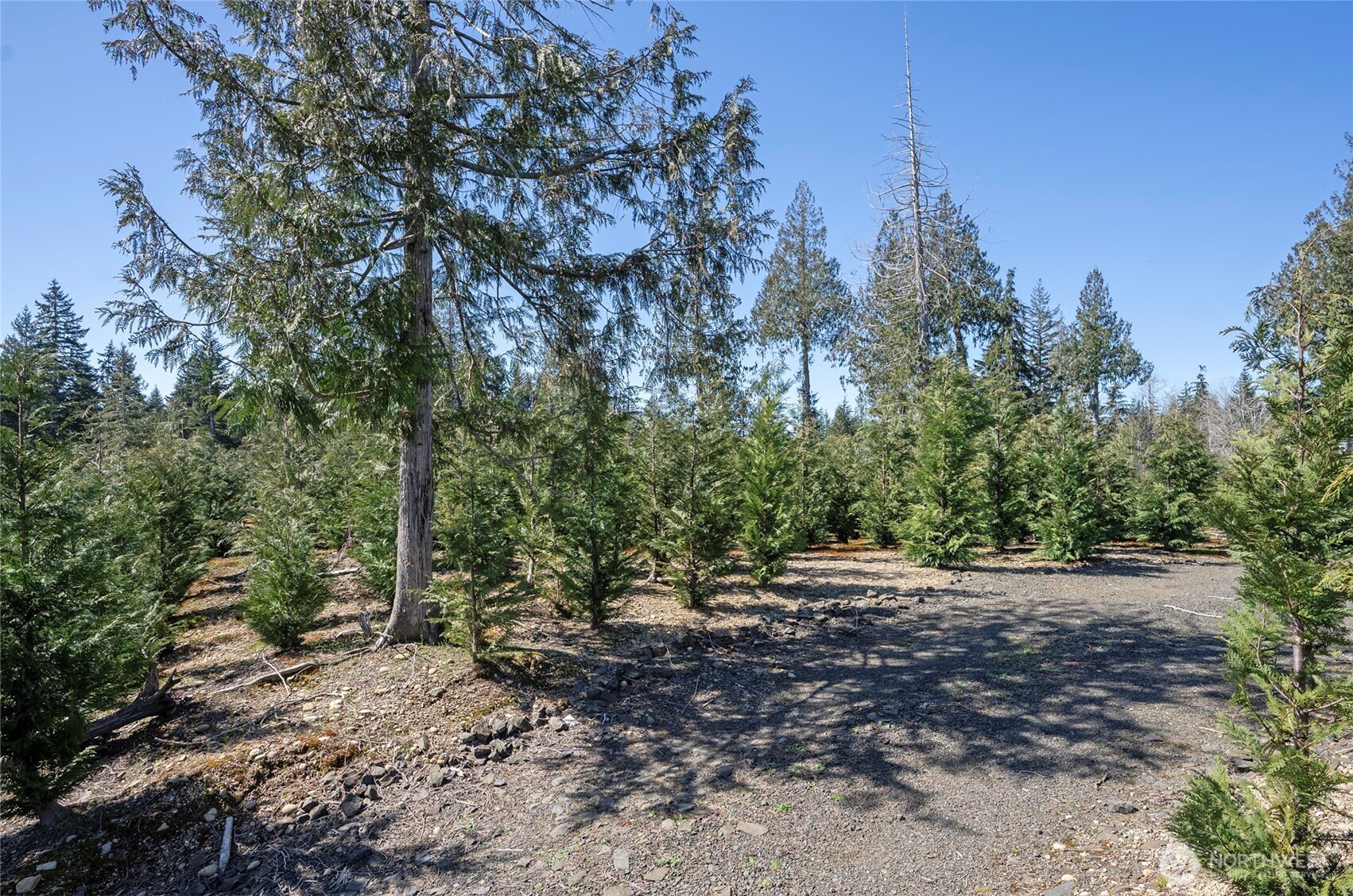 1800 E Harstine Island Road N, Shelton, WA 98584