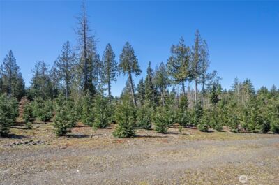1800 E Harstine Island Road N, Shelton, WA 98584 - Photo 10