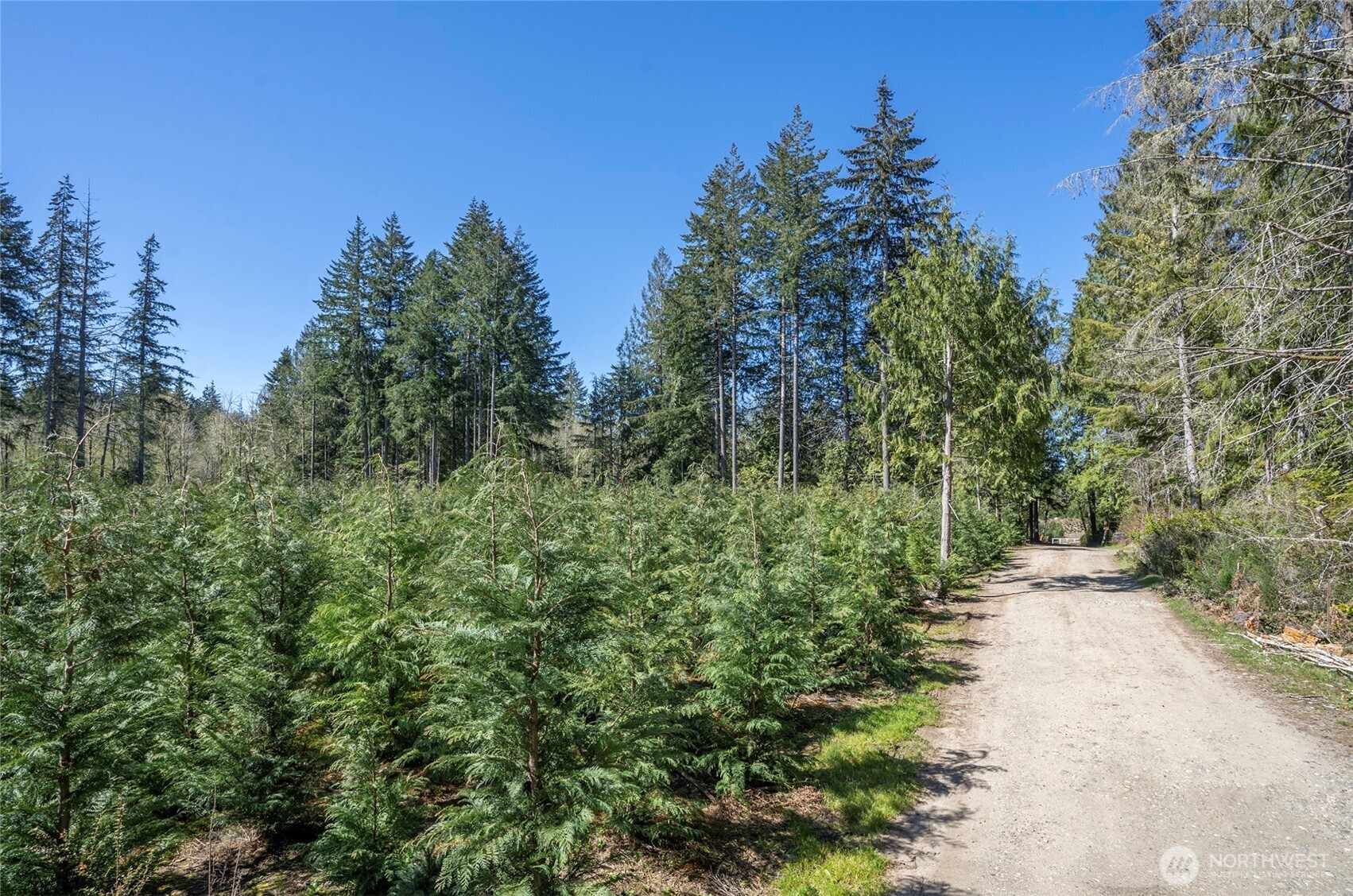 103 Andrejs Road , Shelton, WA 98584