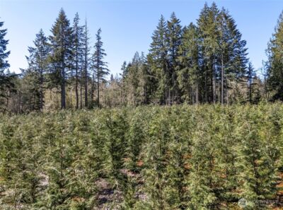 103 Andrejs Road , Shelton, WA 98584 - Photo 5
