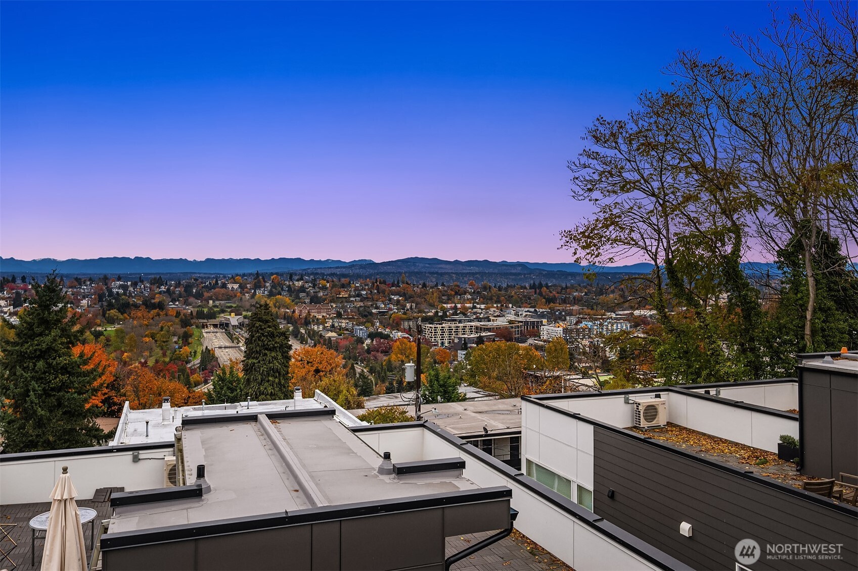 1313 14th Avenue S #B, Seattle, WA 98144