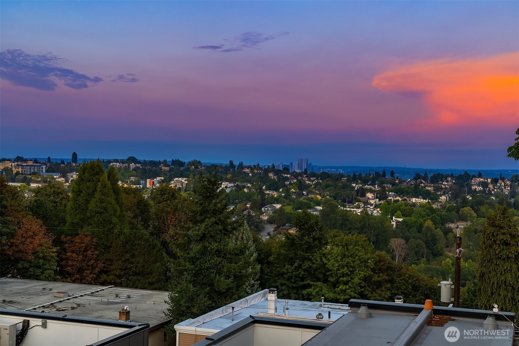 1313 14th Avenue S #B, Seattle, WA 98144