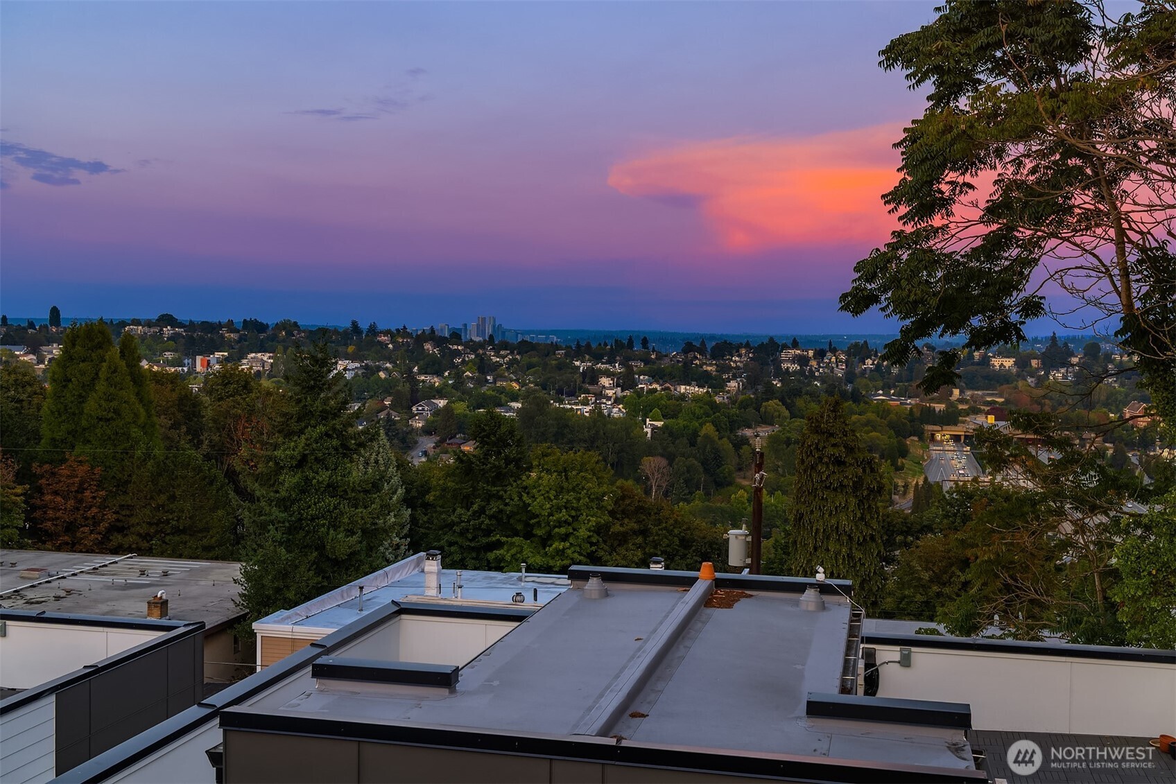 1313 14th Avenue S #B, Seattle, WA 98144