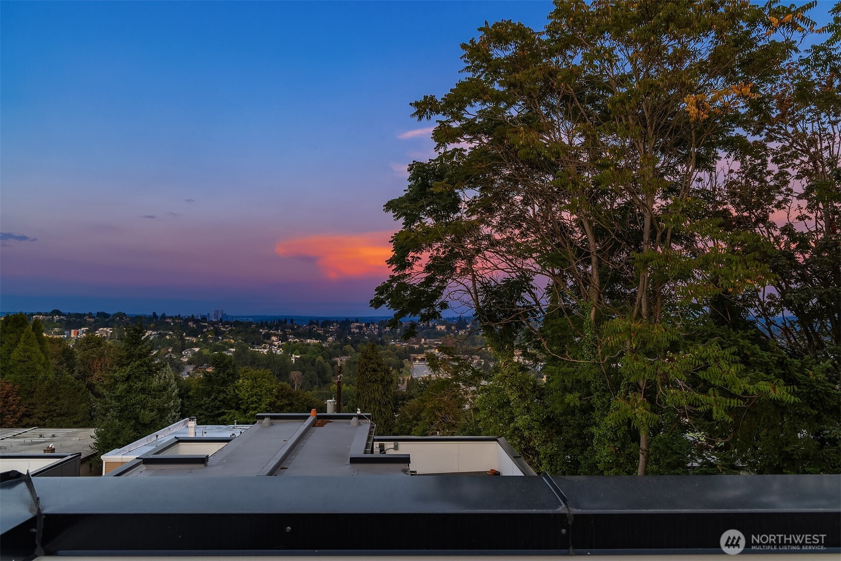 1313 14th Avenue S #B, Seattle, WA 98144