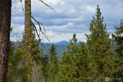0 xx Sturgis Road , Cle Elum, WA 98922 - Photo 6