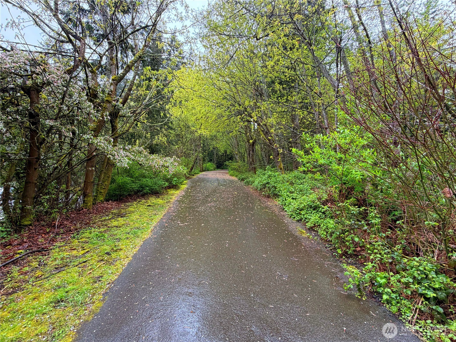 2118 W Ruffner Street , Seattle, WA 98199