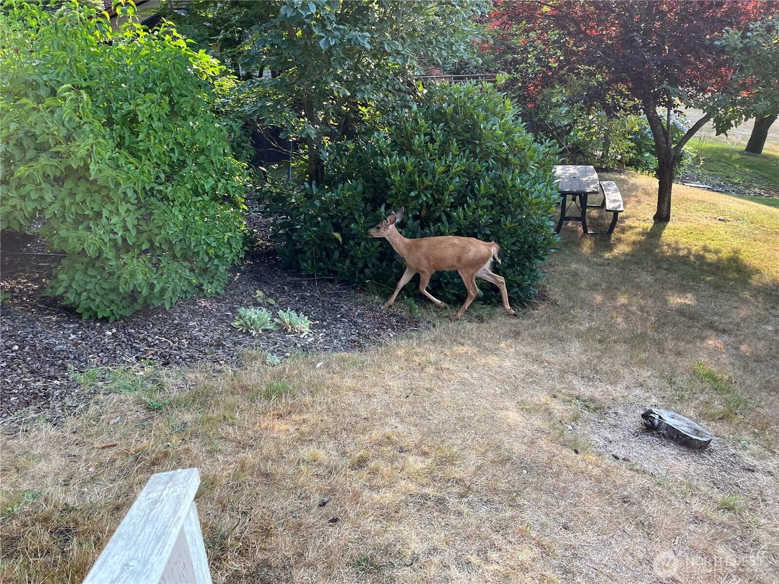 10427 Powell Drive NW, Gig Harbor, WA 98335