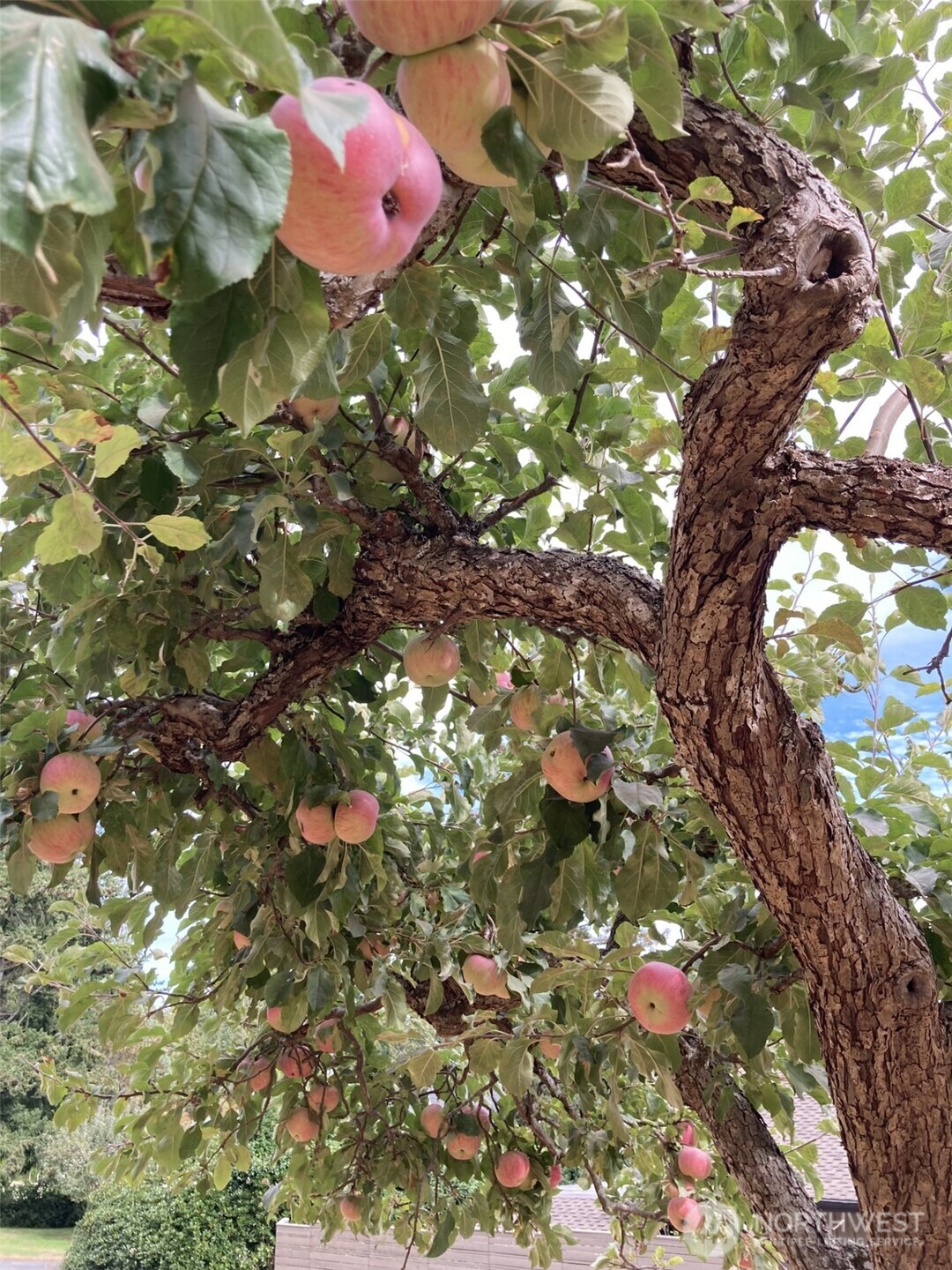 10427 Powell Drive NW, Gig Harbor, WA 98335