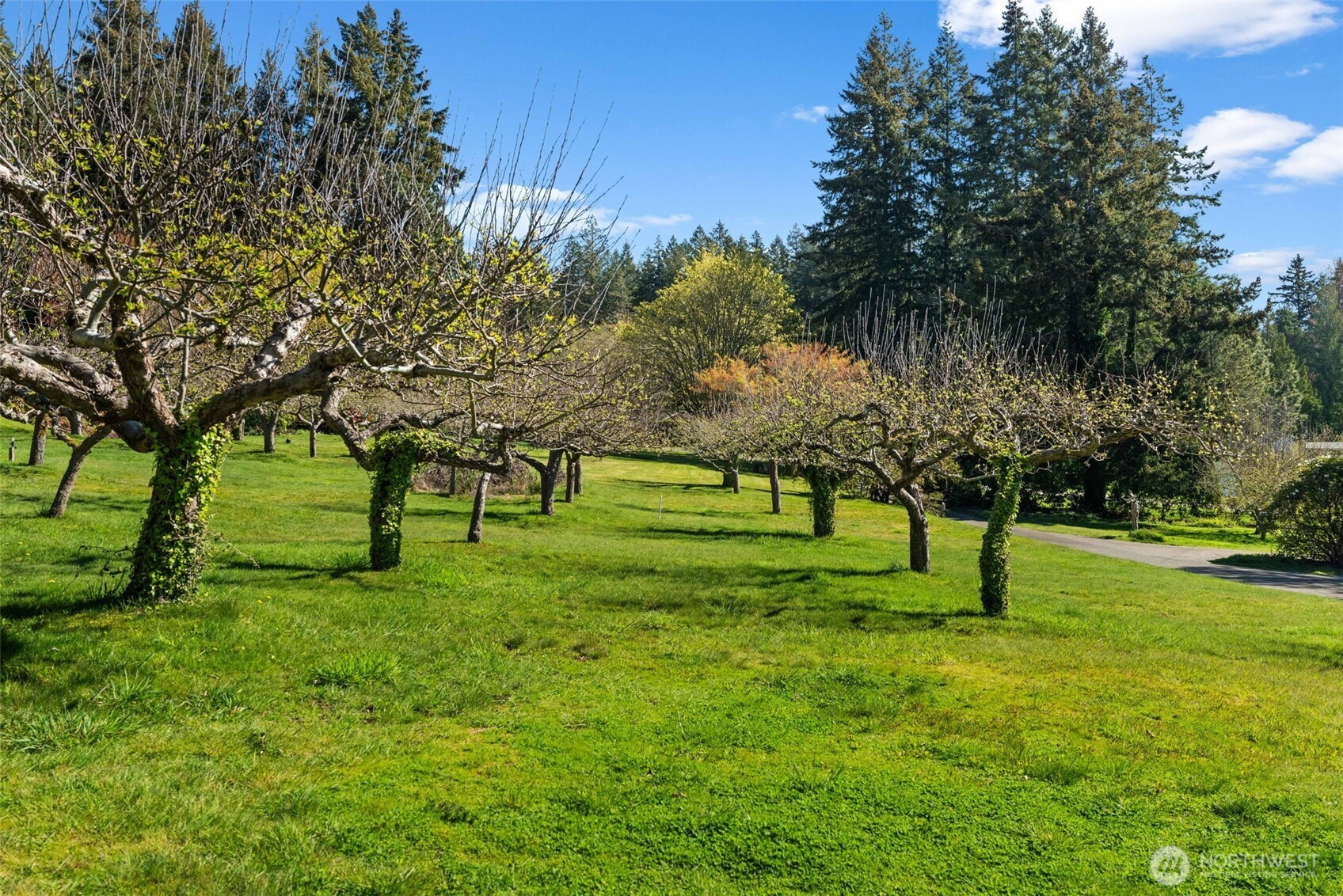 10427 Powell Drive NW, Gig Harbor, WA 98335