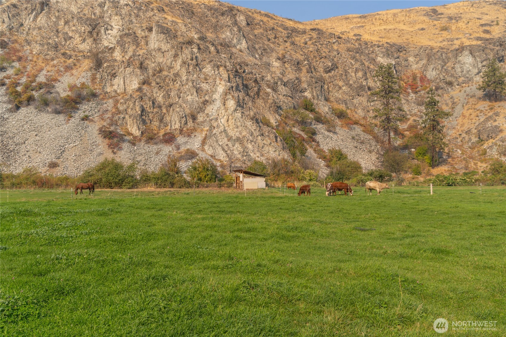 2560 Antione Creek , Chelan, WA 98816