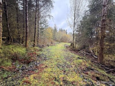 0 Bunker Creek Road , Adna, WA 98522 - Photo 1