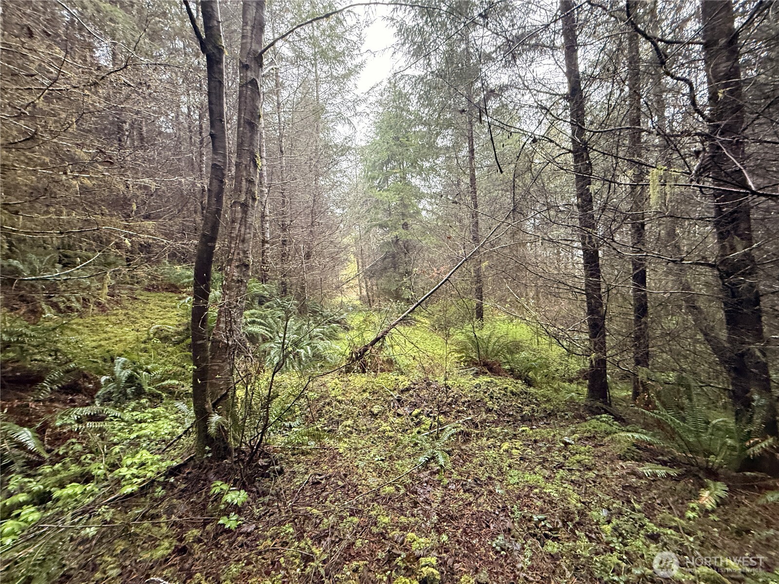 0 Bunker Creek Road , Adna, WA 98522