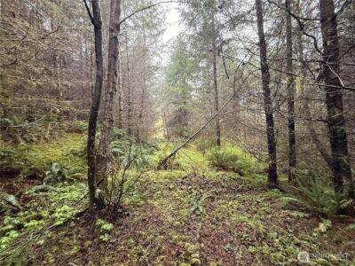 0 Bunker Creek Road , Adna, WA 98522 - Photo 13