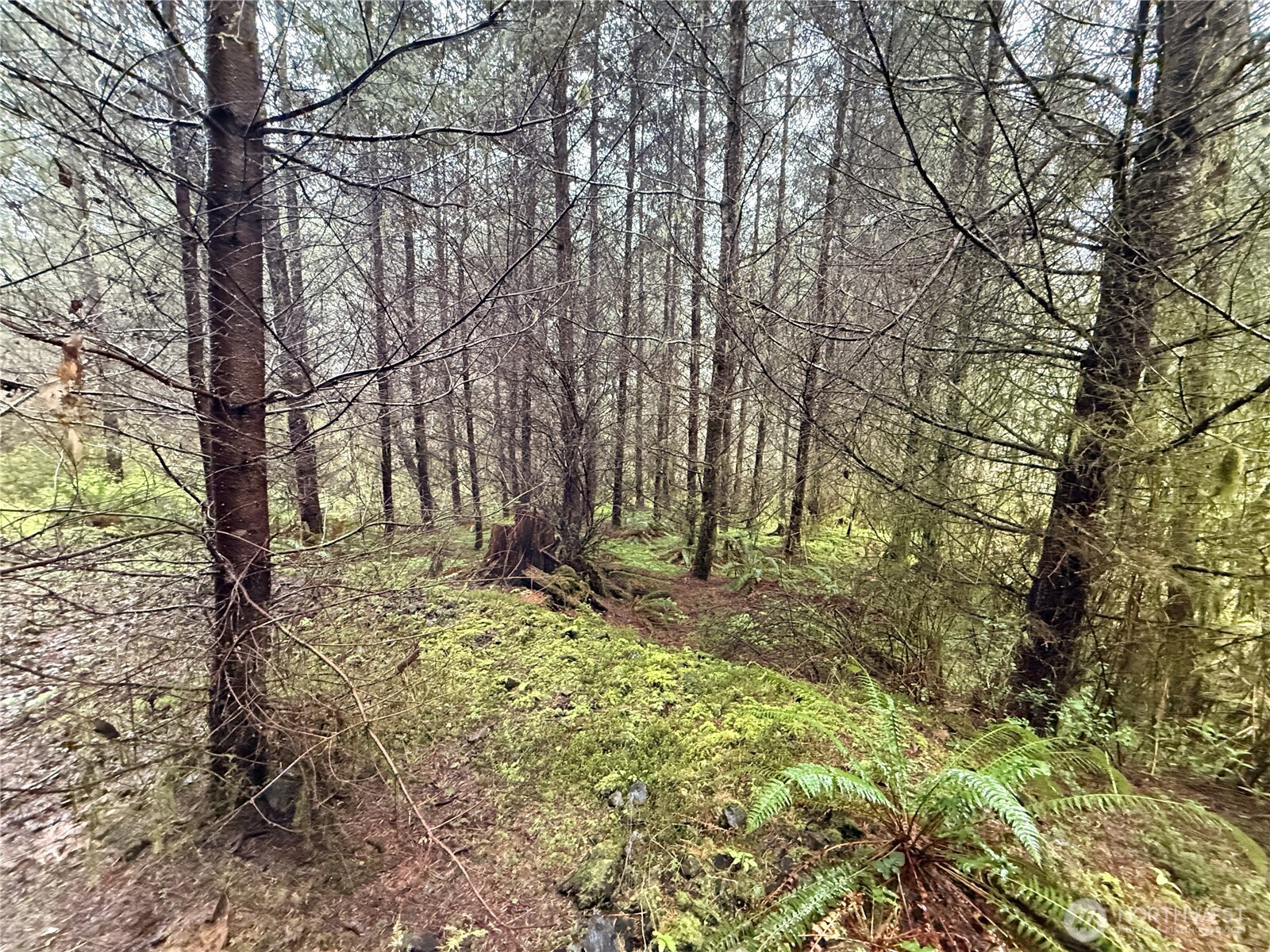 0 Bunker Creek Road , Adna, WA 98522