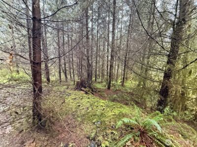 0 Bunker Creek Road , Adna, WA 98522 - Photo 14
