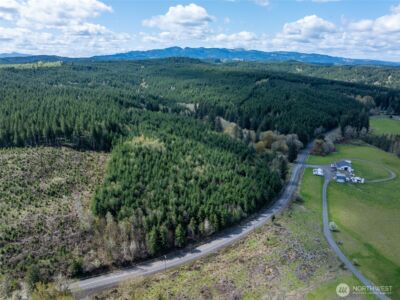 0 Bunker Creek Road , Adna, WA 98522 - Photo 18